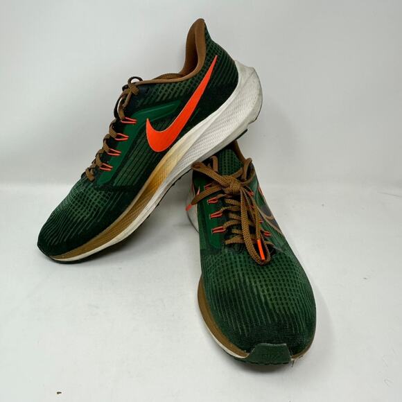 Nike x Hola Lou Air Zoom Pegasus 39 A.I.R. Men\'s 11 D09500-300 Green Running main image 10